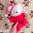 画像7: Christmas Eve Night Bear (7)