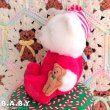 画像4: Christmas Eve Night Bear (4)